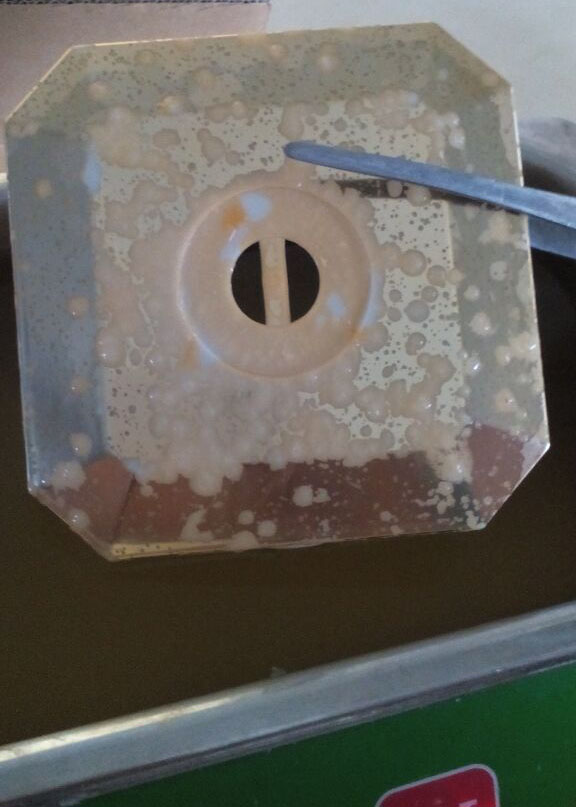 輝煒佳塑膠脫漆案例圖片2 輝煒佳塑膠脫漆案例圖片2